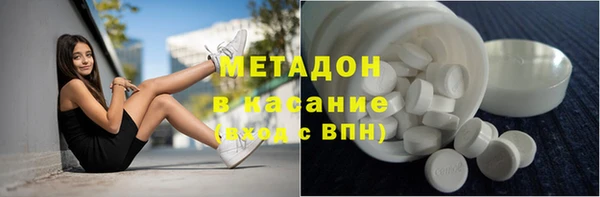 сатива Гусь-Хрустальный