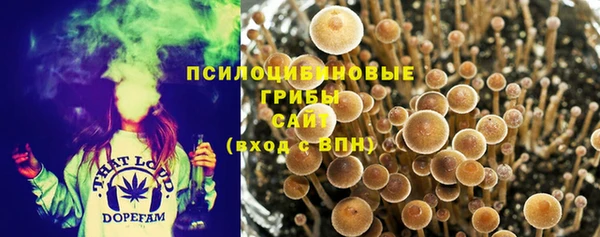 скорость Гусиноозёрск