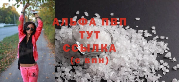 сатива Гусь-Хрустальный
