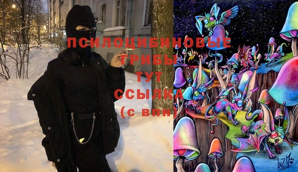 кокаин VHQ Гусев