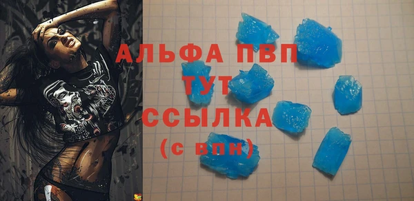 сатива Гусь-Хрустальный
