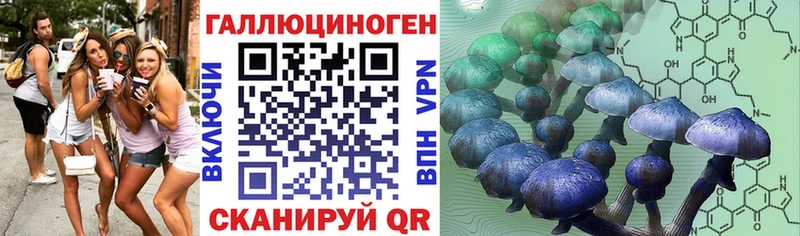 Псилоцибиновые грибы Magic Shrooms  сайты даркнета формула  Нерюнгри 