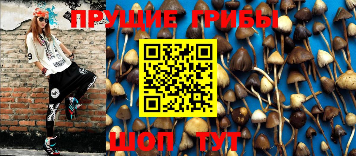 Псилоцибиновые грибы мухоморы  Нерюнгри 