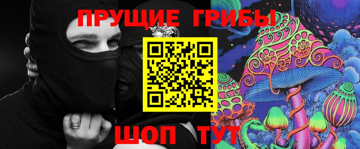 Псилоцибиновые грибы GOLDEN TEACHER Нерюнгри