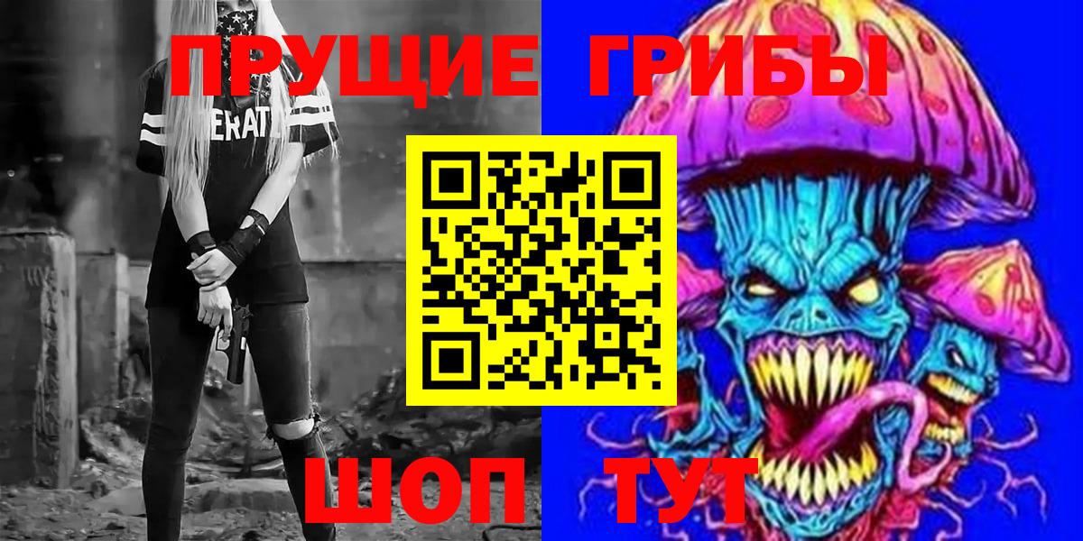 Псилоцибиновые грибы Psilocybe Нерюнгри