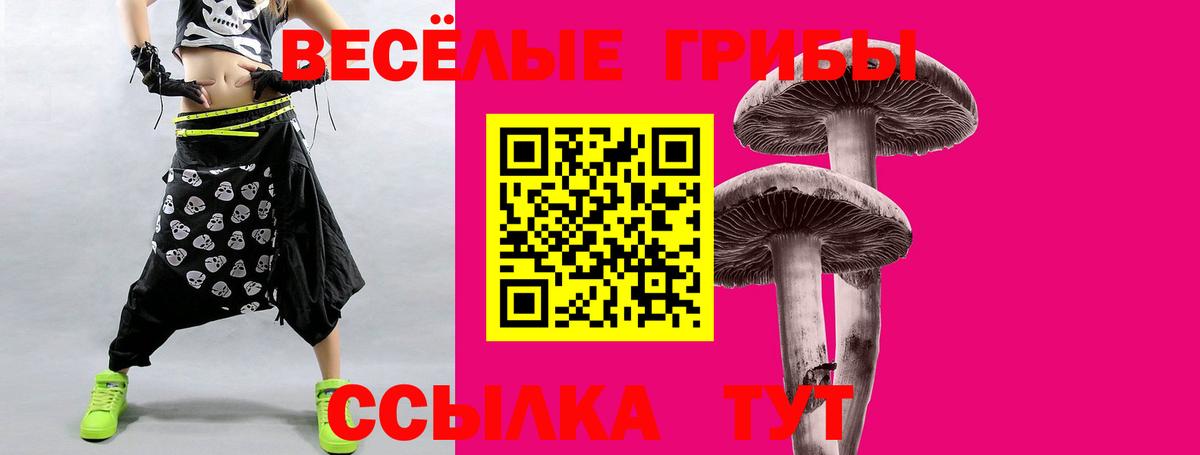 Галлюциногенные грибы Cubensis  Галлюциногенные грибы Magic Shrooms  наркота  Нерюнгри  Вход с VPN 